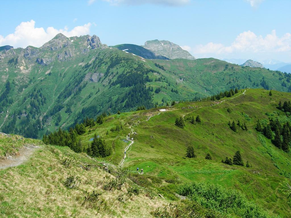 Landhotel Steindlwirt Dorfgastein Bagian luar foto